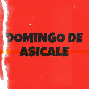 Domingo de asicale