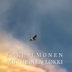 Murheinen lokki