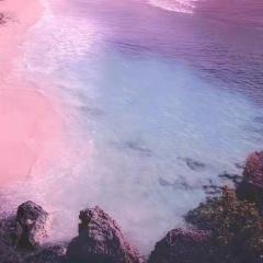 虽然不能一起走 (片段)
