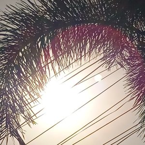 一双眼睛盯着你