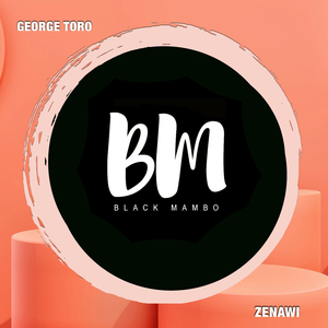 Zenawi (Extended Mix)