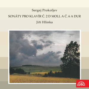 Piano Sonata No. 2 in D Minor, Op. 14:I. Allegro ma non troppo