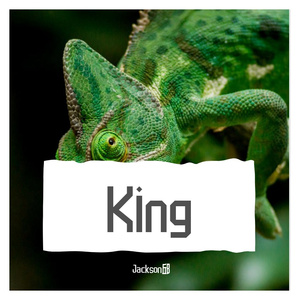 鸭王（prod.by WoodSway)