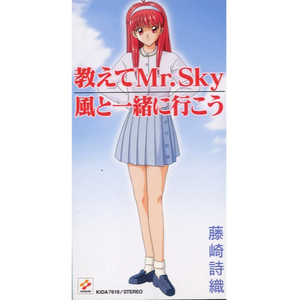 教えてミスター・スカイ