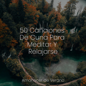 Fantasía de Fusión Estelar