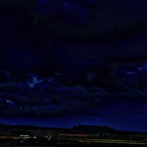 Vessel of Ash and Petrol