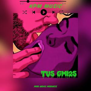 Tus Gmi2s