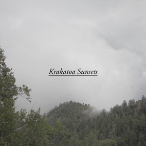 Twilight Effects, Coronal Appearances