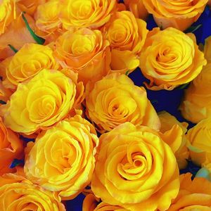 《灵动琴音点亮旅行Vlog》