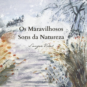 Crepúsculo na Praia Desperta