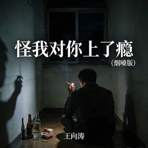 怪我对你上了瘾(烟嗓版)