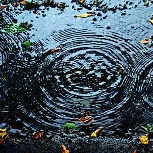 月明かりに照らされて