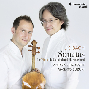 Sonata for Viola da Gamba in D Major, BWV 1028: III. Andante (Arr. for Viola)