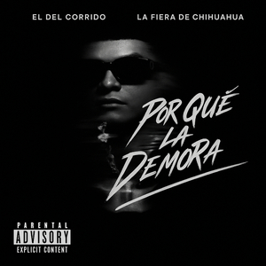 Por Qué La Demora (Version Trap)