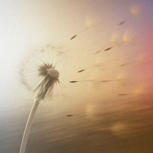 Always (instrumental)