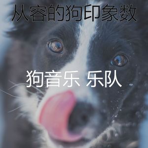 微妙的小狗心情