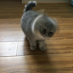 寻人启事（翻自 徐佳莹）