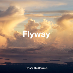 Flyway