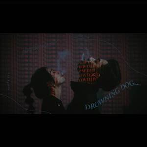 Drowning Dog