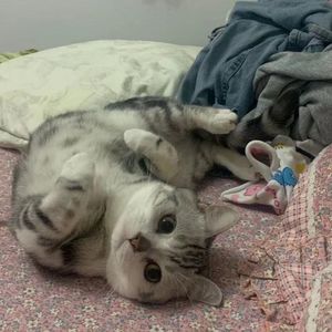 最后一遍(prod.by Morrow)