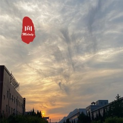 不撞南墙不回头 (DJ版)