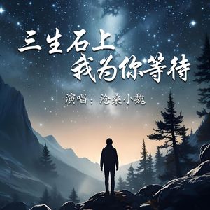 三生石上我为你等待