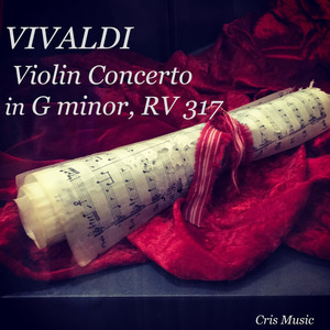 Vivaldi: Violin Concerto in G minor, RV 317: I. Allegro