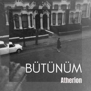 Bütünüm