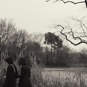 助眠丨放松丨白噪音