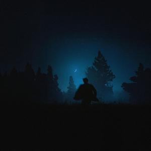 lights in the darkness