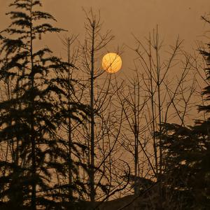 别辜负眼前季节(热顶)