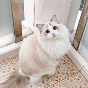 It Was A Good Day (slowed)