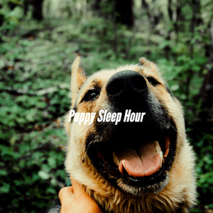 Energetic Jazz Trombone - Vibe for Cool Dog