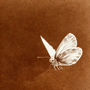 【免费伴奏】 Melodic Rap/R&B PopRap Trap