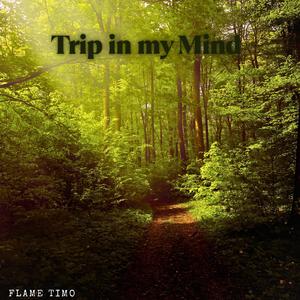 Trip in my Mind (feat. Ayoub Houmanna, MgoldMusic, Sensory Meditation & Jasper Whisper)