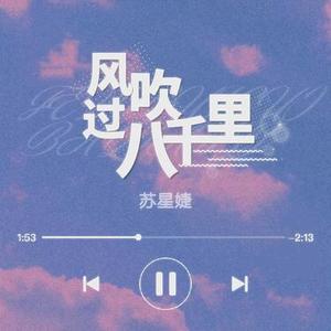 风吹过八千里 (DJ正式版)