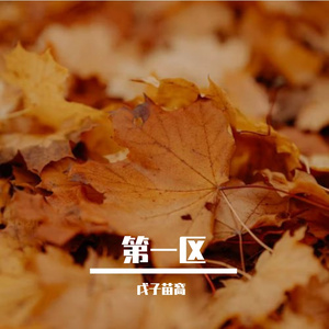 第一区