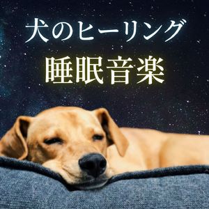 安心できる場所