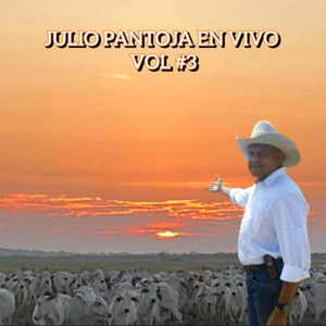 Gaviota De Cuajarito (En Vivo)