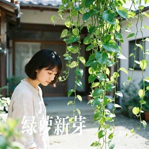 绿萝新芽_master