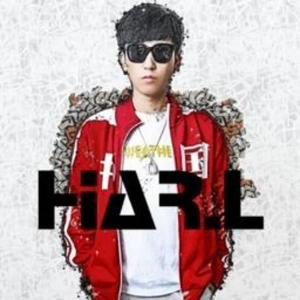 十面埋伏 (DJ HAR.L 孙宁 2019 Mix)