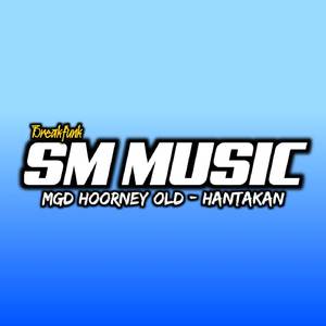Breakfunk - Dj Mgd Hoorney 2019 Style Hantakan