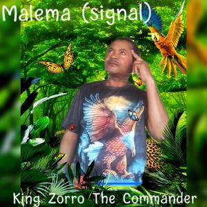 Malema (signal)