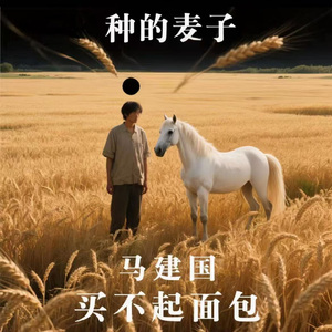 种的麦子买不起面包（女声版）