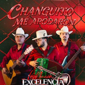 Changuito me apodaron