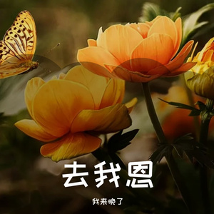尤11