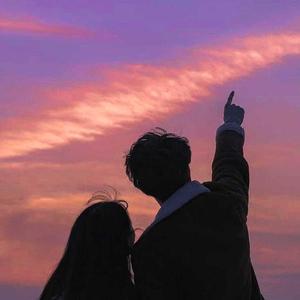 Lets Fall in Love for the Night