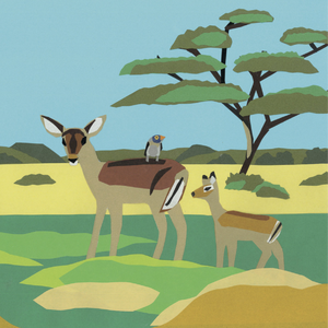 Utsuke [0:00-0:24] - Ne [0:25-26:19] - [interval] - Utsuke [26:49-31:46]