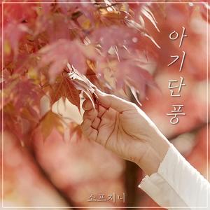 아기 단풍 - 소프지니