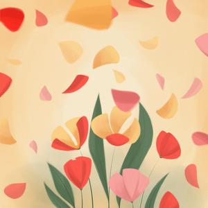 Petal Soft